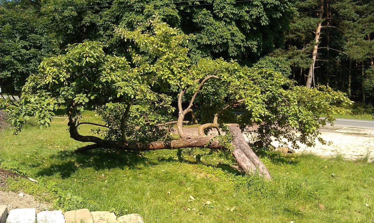 Penzion Slunecno Dobšín 외부 사진